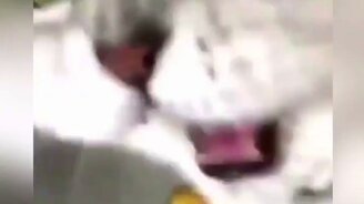 Кошка испугалась объектива - смотреть видео (0:07)