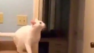 Когда слишком готовишься к прыжку - смотреть видео (0:10)