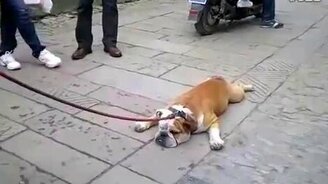 Депрессия у меня! - смотреть видео (4:01)