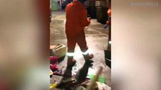 Спасение щенка из мусоровоза - смотреть видео (0:45)