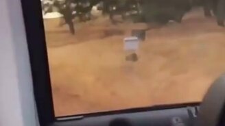 Когда не умеешь стрелять - смотреть видео (0:10)