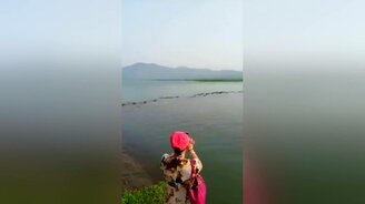 Стадо переплывает реку - смотреть видео (3:32)