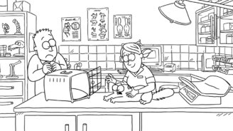 9 "необходимостей" для кошек и котов - смотреть видео (12:34)