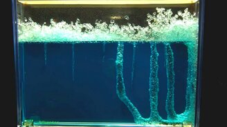 Наблюдаем за муравьями - смотреть видео (10:10)