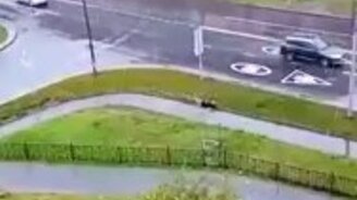 А вот и первый снег! - смотреть видео (0:12)