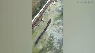 Семья как змея - смотреть видео (0:55)