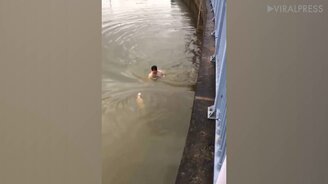Парень спасает собачку из канала - смотреть видео (2:01)