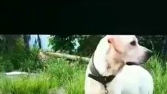 Хочешь жить - умри! - смотреть видео (0:12)