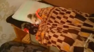 Я спать,  а вы?.. - смотреть видео (0:46)