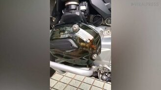 Прозрачный футляр мотомотора - смотреть видео (0:33)