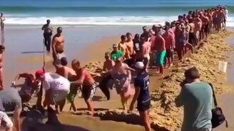 Спасение акулы - смотреть видео (0:30)