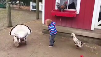 Чудные детишки и зверушки - смотреть видео (10:17)