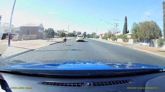 Эму переходит дорогу - смотреть видео (0:15)