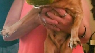 Это мой солёный огурец! - смотреть видео (0:14)