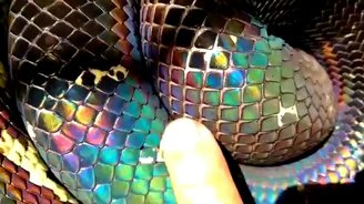Радужный питон - смотреть видео (0:19)
