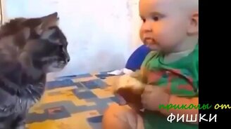 Короткие русские приколы с озвучкой - смотреть видео (8:36)