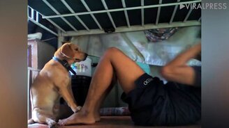 Собака помогает качать пресс - смотреть видео (0:20)