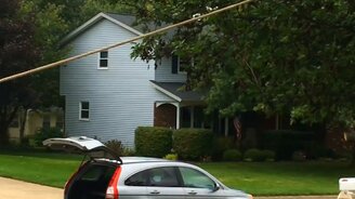 Спиливание дерева пошло не по плану - смотреть видео (2:26)