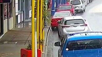 Привязывайте собак правильно - смотреть видео (1:18)