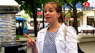 Замените мне собачку! - смотреть видео (1:35)