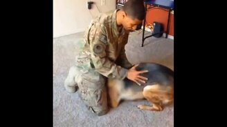 Собаки встречают солдат со службы - смотреть видео (10:36)