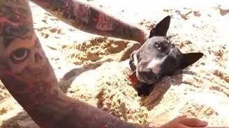 Как охладиться на пляже - смотреть видео (1:17)