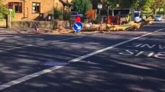 Везучий велосипедист и дерево - смотреть видео (0:10)