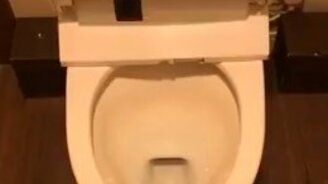 Сообразительный унитаз - смотреть видео (0:19)