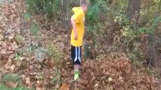 Исчезновение в листве - смотреть видео (0:33)