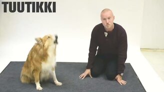 Когда лает человек - смотреть видео (1:52)