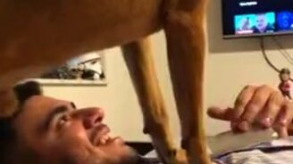 Хозяин, удели мне время! - смотреть видео (0:28)