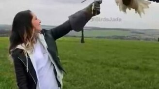 Орёл прилетел на руку к девушке - смотреть видео (0:45)