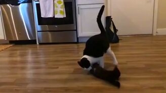 Когда опыт побеждает - смотреть видео (0:18)