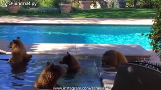 Яркие свеженькие приколы - смотреть видео (6:40)