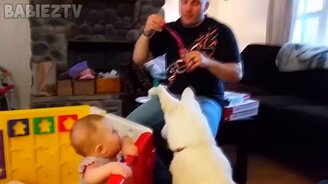 Малыши играют с собакам - смотреть видео (12:13)