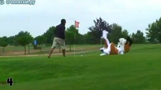 Топ-5 глупостей 2010 года - смотреть видео (2:35)