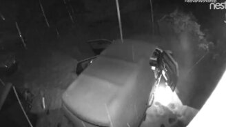 Медведь и чужая машина - смотреть видео (1:47)