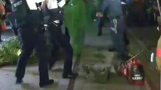 Поймай енота-беглеца! - смотреть видео (0:52)