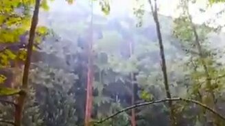 Красивый высоченный забор - смотреть видео (1:04)