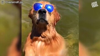 Приколы этой недели - смотреть видео (9:45)