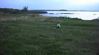 Не докрутил... - смотреть видео (0:07)