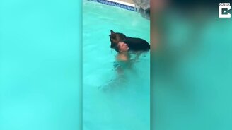 Ныряй, я тебя спасу! - смотреть видео (0:25)