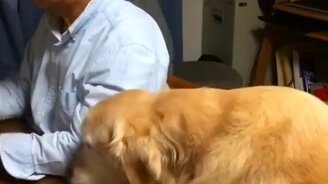 Хозяин, обнимай меня постоянно! - смотреть видео (0:30)