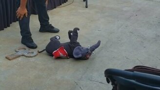 Когда не охота быть в костюме - смотреть видео (0:45)