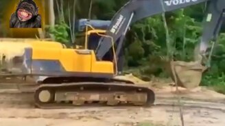 Ты думаешь, что видел всё? - смотреть видео (13:05)