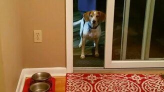 Откройте дверь, которая открыта - смотреть видео (0:26)