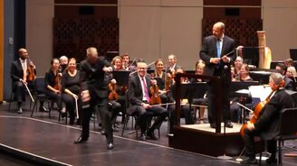 Главный участник оркестра - смотреть видео (0:33)