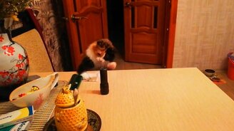 Как надо вести себя с деньгами - смотреть видео (0:10)