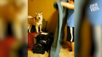 Одиночные и совместные трюки - смотреть видео (1:50)