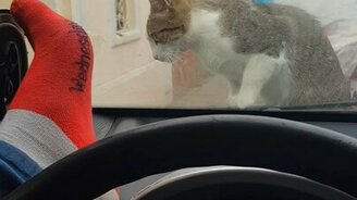 Мгновенная карма в действии - смотреть видео (0:09)